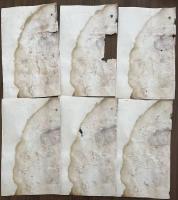 貸本漫画・怪奇マンガ　原稿30枚　月宮美兎（みと／鬼城寺健）『怪談　蛇太郎』