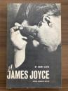 James Joyce: a Critical Introduction　Revised and Augmented Edition
