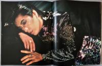 沢田研二　コンサート・パンフレット　MIS CAST（ミス・キャスト） KENJI SAWADA WITH EXOTICS CONCERT TOUR '83