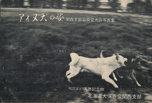 北海道犬写真集 アイヌ犬の姿 関西支部会員愛犬の写真集(編集：江口武雄・目崎主