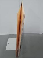 黄金に魅せられた倭人たち　'96特別展