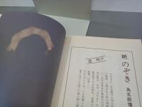 のぞき　為五郎無頼日記