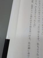 旅回り松園桃子一座