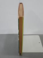 新南米移住読本
