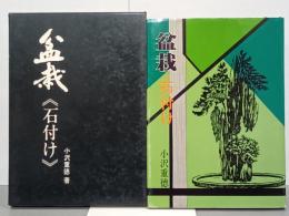 盆栽　石付け