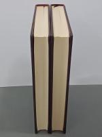 宇野浩二伝　上下