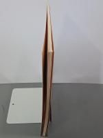 企画展　埋もれていた縄文人のくらし　桐生市千網谷戸遺跡の発掘