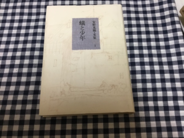 蟻と少年(安野光雅・文集1) 古本、中古本、古書籍の通販は「日本の古本屋」 日本の古本屋