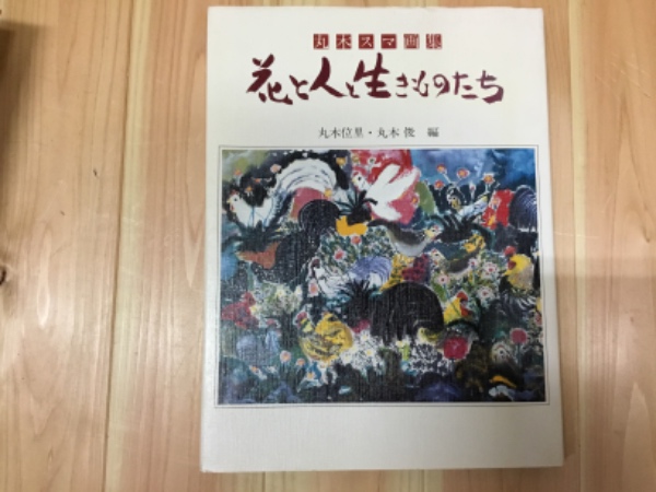 丸木スマ画集 序文・安田靫彦 昭29年 函 大塔書店 | トムズボックス
