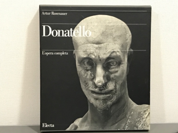 メトロニダゾール・ナイスタチン・プラティ・ドナドゥッツィのリーフレット