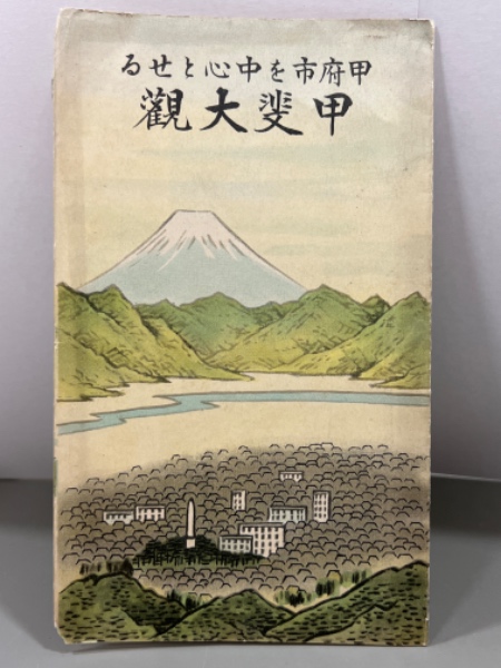 バラ売り可 同時代ライブラリー38冊セット 岩波書店 除籍本 その他