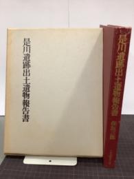 是川遺跡出土遺物報告書