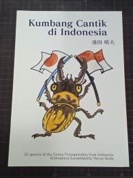 Kumbang Cantik di Indonesia(インドネシアの美しいクワガタムシ)