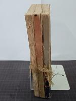己か罪(己が罪)　全３冊
