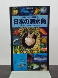 日本の海水魚　山溪ハンディ図鑑13