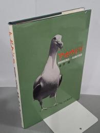 アホウドリ