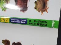 世界と日本のカエル大図鑑 : 地球のカエル大集合! : 世界のカエル156種類・日本のカエル全43種類