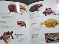 世界と日本のカエル大図鑑 : 地球のカエル大集合! : 世界のカエル156種類・日本のカエル全43種類