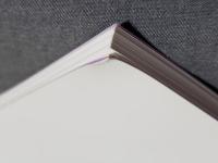 吾妻古墳と藤井古墳群 : 平成24年度 栃木県立しもつけ風土記の丘資料館第26回秋季特別展図録