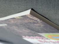 吾妻古墳と藤井古墳群 : 平成24年度 栃木県立しもつけ風土記の丘資料館第26回秋季特別展図録