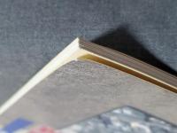 発掘された土浦城 : 地中に眠る知られざる歴史 : 上高津貝塚ふるさと歴史の広場第10回企画展