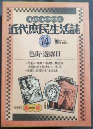 近代庶民生活誌　14　色街・遊郭2　VHS付き