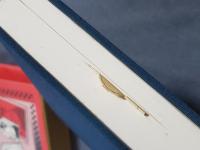 近代庶民生活誌　10　享楽・性