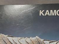 生命 (いのち) のかたち : 1970-1973