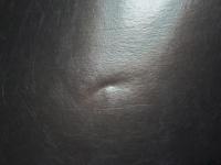 生命 (いのち) のかたち : 1970-1973