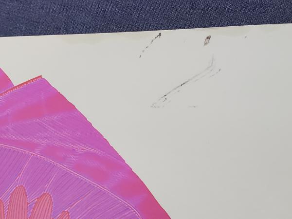 骨格筋の形と触察法 2刷(河上敬介, 小林邦彦 編 ; 河上敬介