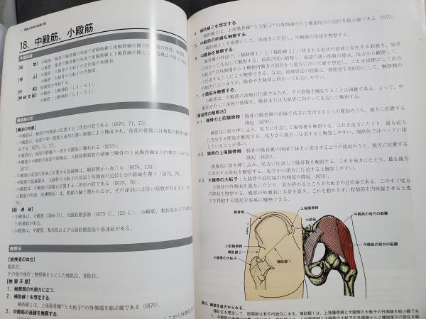 【改訂第二版】骨格筋の形と触察法