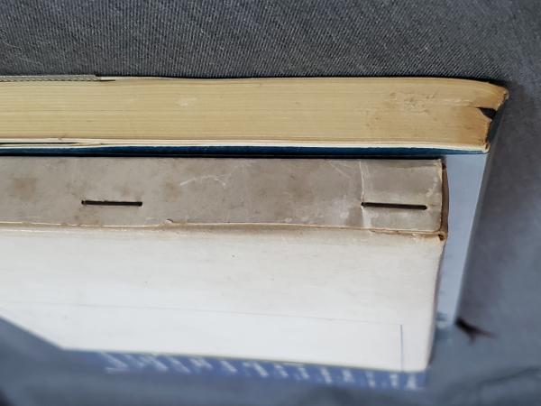 太子信仰―その発生と発展 (1972年) (日本人の行動と思想〈13