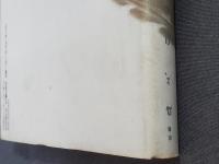 鳥よ、自在に翔ぶな : 歌集 ＜月光叢書 3＞