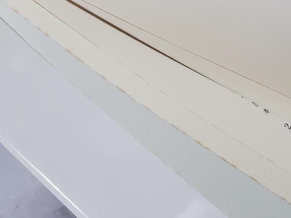 車はなぜ曲がるか??限界コーナリングのダイナミクス (MECHANISM SERIES) 車はなぜ曲がるか? : 限界コーナリングのダイナミクス ＜Mechanism