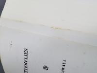 中国蝶類研究