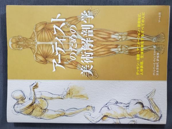 アーティストのための美術解剖学 : デッサン・漫画・アニメーション