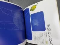 クモの網 : what a wonderful web!　2008年8月2版