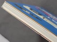 フォードGT : Mk1/Mk2/Jcar/Mk4/GT40/P68/69