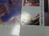 尾崎裕美写真集 : 11