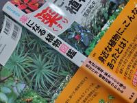 自分で採れる薬になる植物図鑑