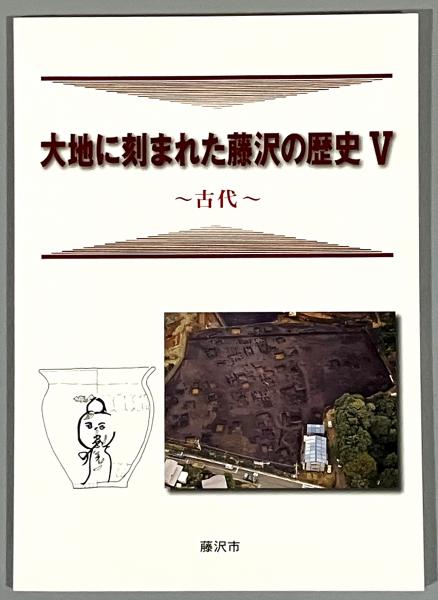 臨床神経内科学 第3版.(平山恵造 編) / ニニ / 古本、中古本、古