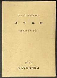 金平遺跡 : 発掘調査報告書