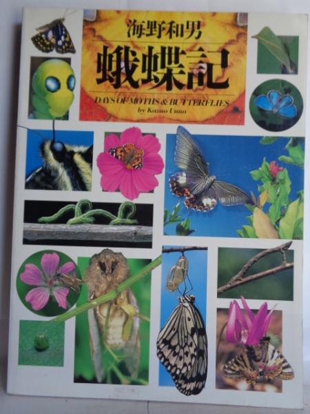 蛾蝶記 海野和男 著 大閑堂書店 古本 中古本 古書籍の通販は 日本の古本屋 日本の古本屋