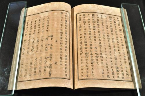 全国総量無料で 女の未来 岩本善治 東京女学雑誌社 / 名雲書店 / 古本、中古本 その他
