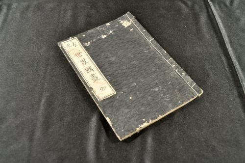 山水畫帖 岳亭定岡画(岳亭定岡画) / 名雲書店 / 古本、中古本
