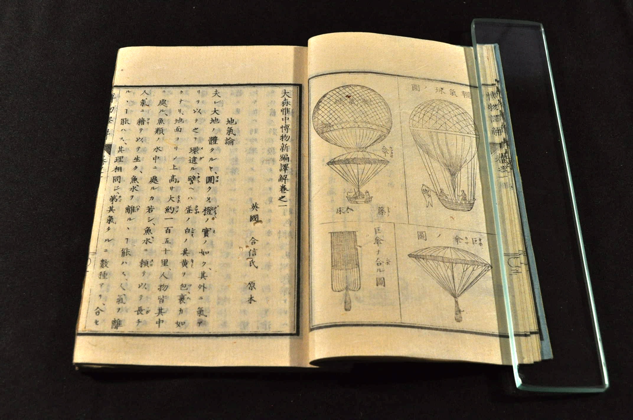 大森惟中 博物新編譯解 増訂再刻 全四巻 袋拵帙入(大森惟中 大森惟中 博物新編譯解 増訂再刻 全四巻 袋拵帙入(大森惟中