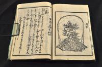 諸流　生花早指南