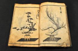 正風遠州水楊傳授　活花早稽古