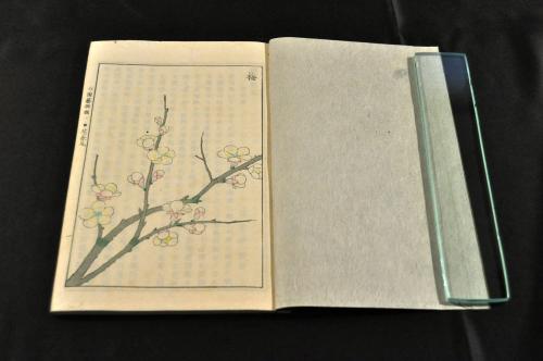 横濱生絲貿易十二年間概況 / 名雲書店 / 古本、中古本、古書籍の通販は