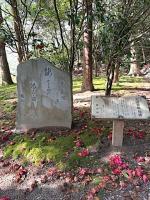 加賀國津幡俳人　矢田我柳舊藏の俳書を主としたコレクションの大量一括